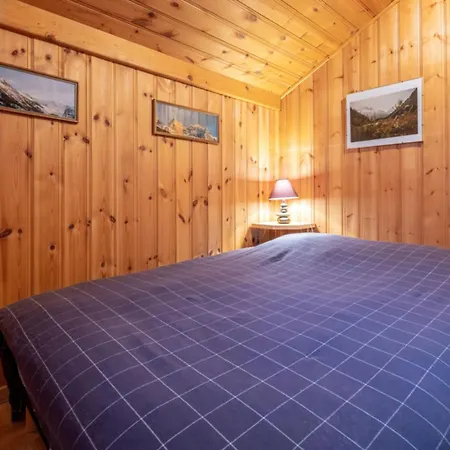 Alpine Escape Facing The Aiguille Du Midi *